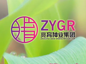 【簽約】河北兆育種業(yè)集團(tuán)有限公司，簽署網(wǎng)站改版升級合同