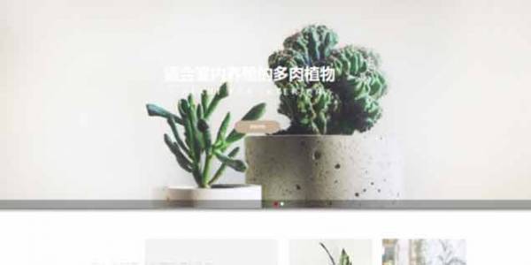 如何開發(fā)公司網(wǎng)站制作Web 前端？
