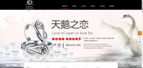 企業(yè)網(wǎng)站建設，視頻網(wǎng)站運營模式類別