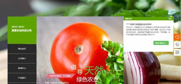 公司網(wǎng)站制作，秩序與靈動(dòng)并存的網(wǎng)頁(yè)設(shè)計(jì)