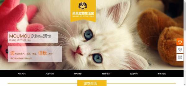 公司網(wǎng)站制作，云端訪問利用功能